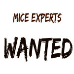 У Львові зберуться MICE-експерти У Львові зберуться MICE-експерти